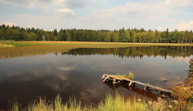 PRUNÉŘOVSKÝ POTOK 2