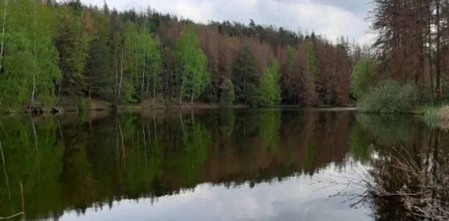 Stařečský potok 1