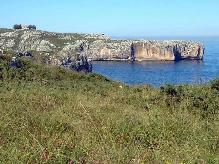 Picones (Mar cantábrico)