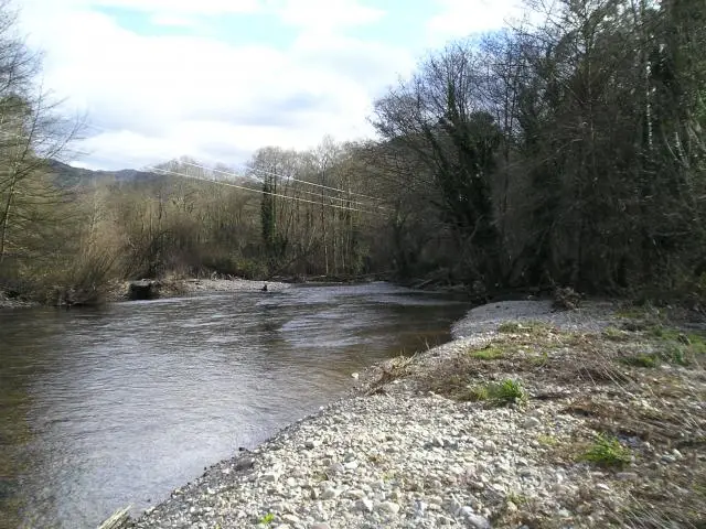 Zona libre de Brieves