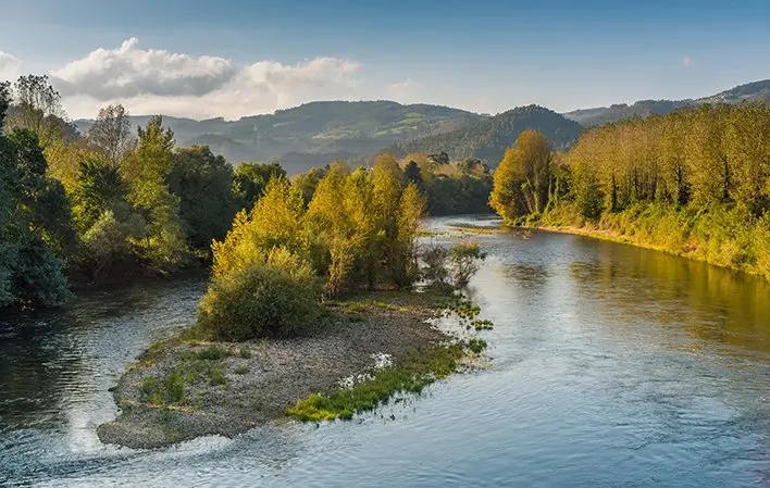 Zona libre El Puerto
