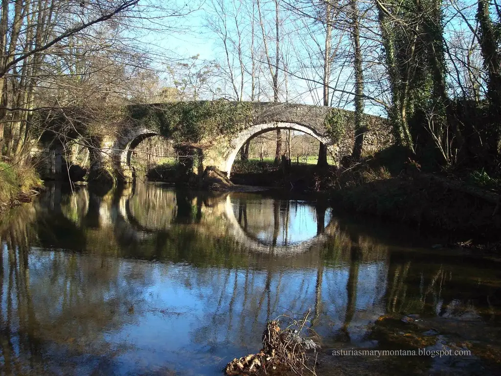 Zona libre de colloto