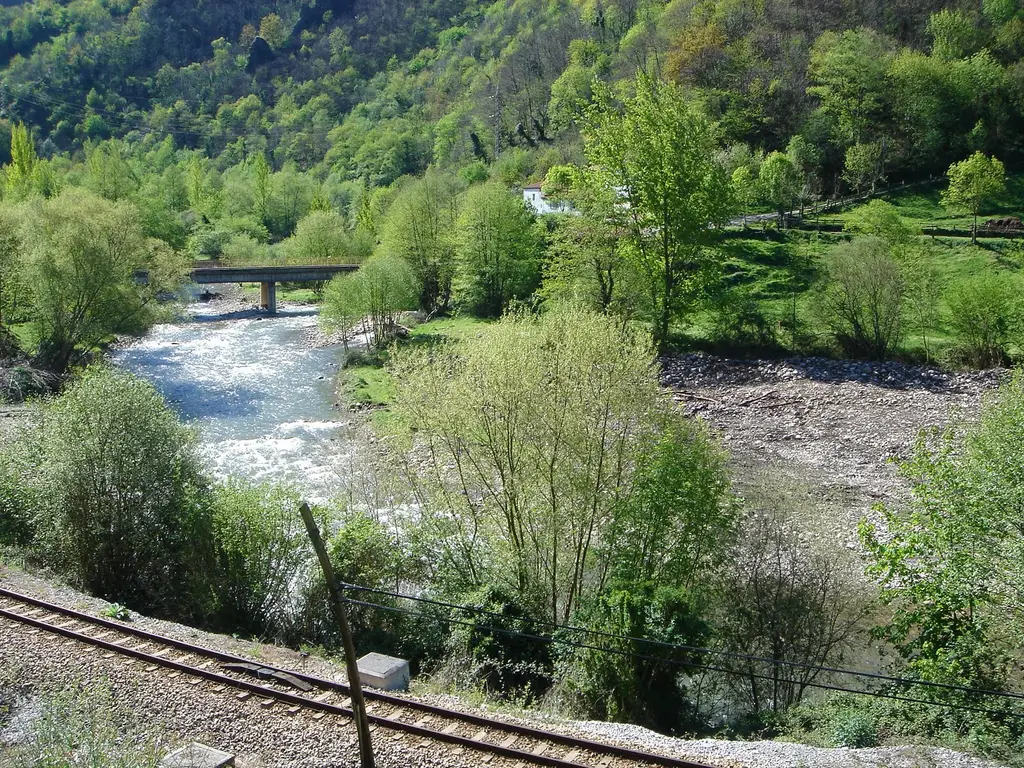 Zona Libre  Santa Cruz