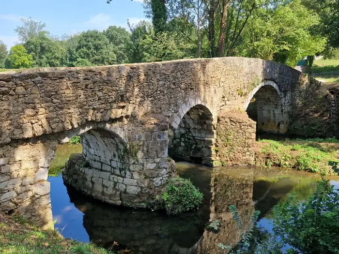 Zona libre de Noreña