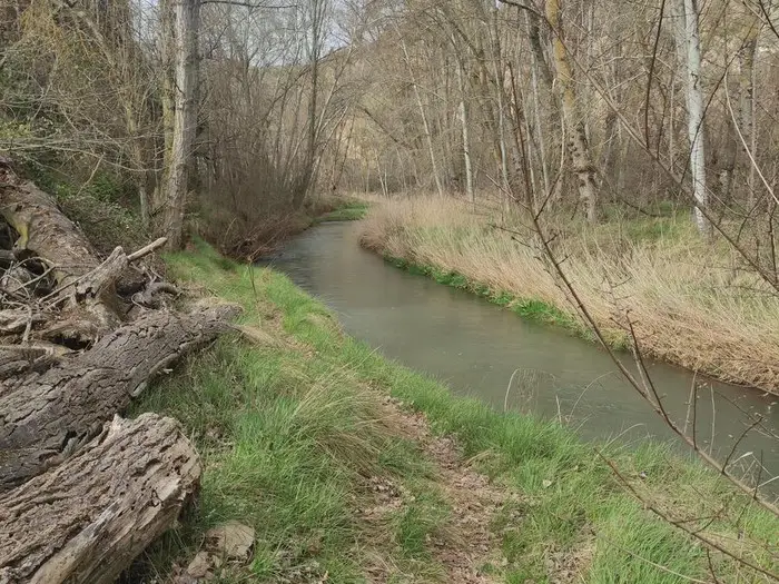 Tramo intensivo Río Turia 1.