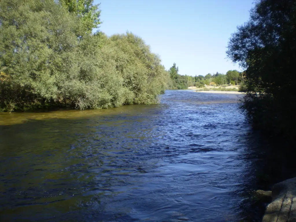 Río Alberche (AVILA)