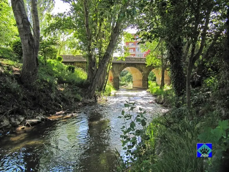 Río oca - Briviesca (Tramo Libre)