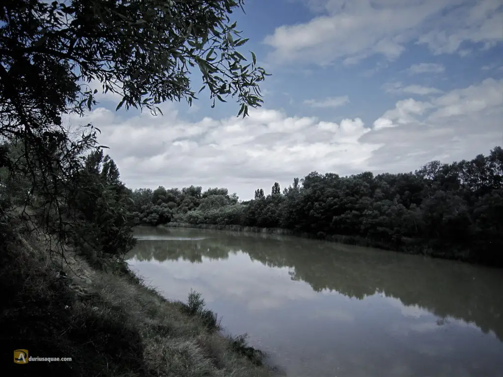 Arroyo de la Nava - Pesca del Cangrejo