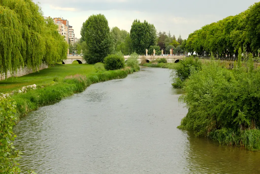 Río Arlanzón - Pesca del Cangrejo