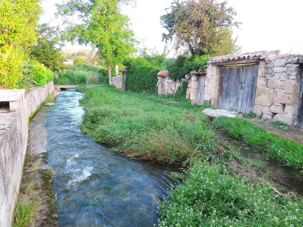 Río Franco - Pesca del Cangrejo