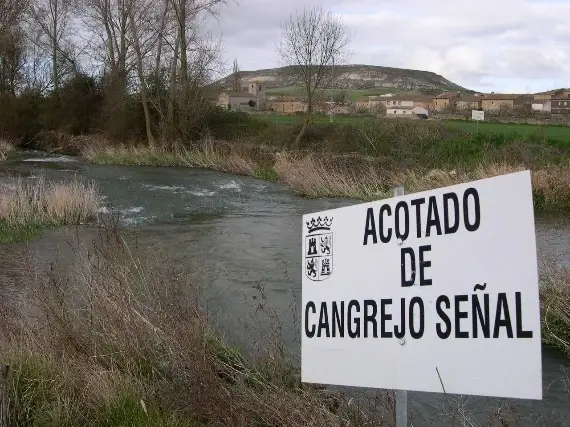 Río Gromejón - Pesca  del Cangrejo