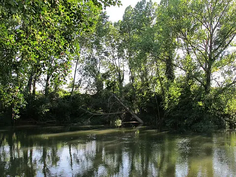 Río Oroncillo - Pesca del Cangrejo