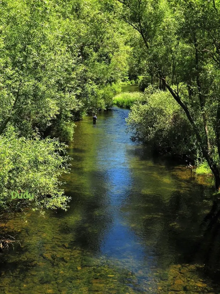 Río Luna (Tramo Libre)