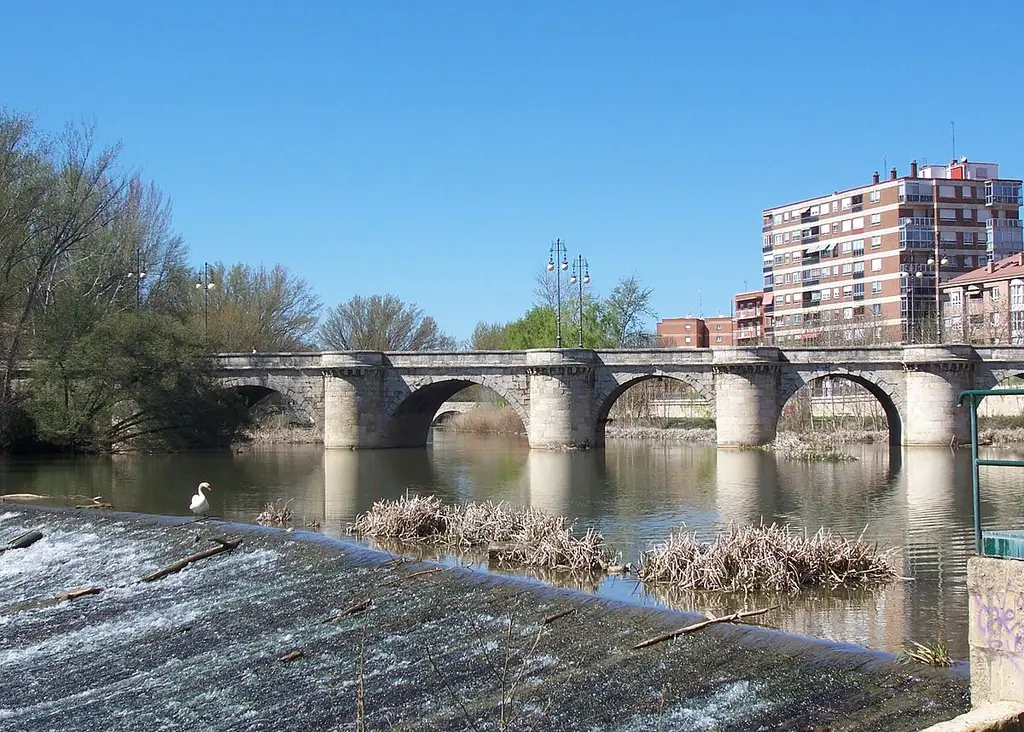 Río Carrión (Tramo Libre) Palencia