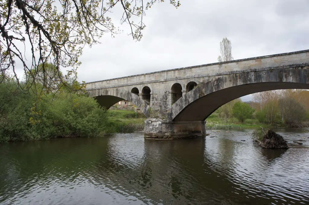 Río Ebro (Palencia)