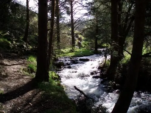 Río Acebedas - Segovia (Tramo libre)