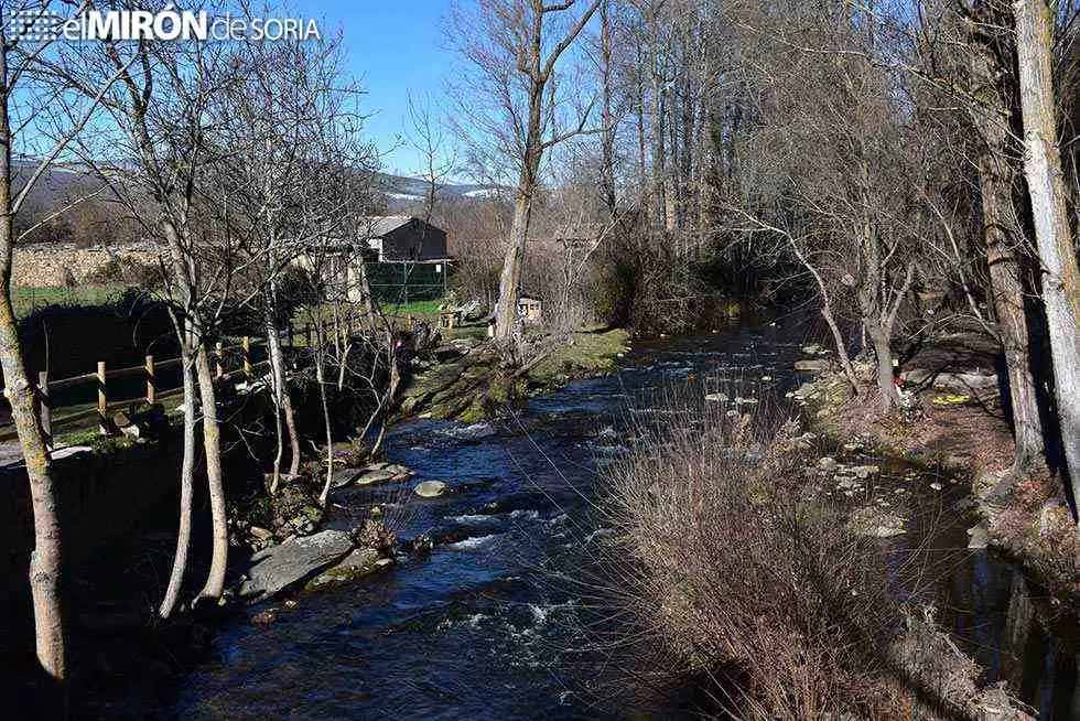 Río Tera - Soria (Tramo Libre)