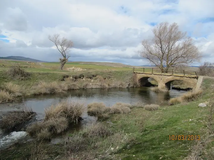 Río Merdancho - Soria (Tramo Libre)