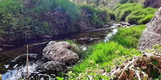 Río Morón - Soria (Tramo Libre)