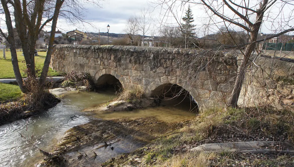 Río Golmayo -  Soria (Tramo Libre)