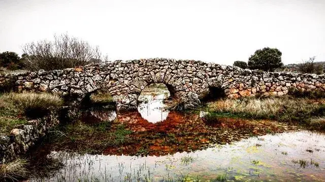 Río Mazos - Soria (tramo libre)