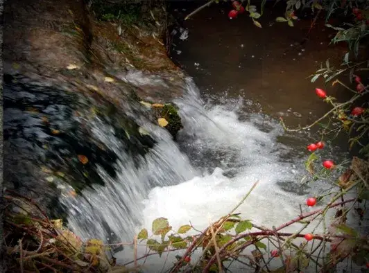 Río Rejas - Soria (Tramo Libre)
