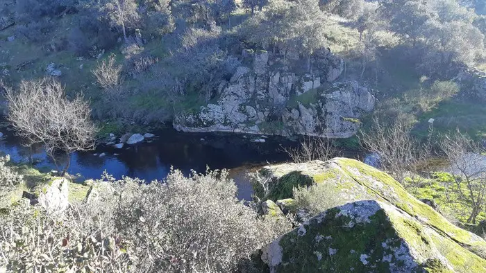 Río Perales - Soria (Tramo Libre)