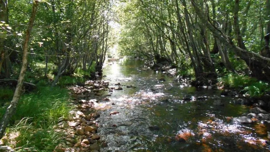 Río Negro - Zamora (Tramo libre)