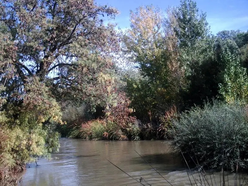 Río Guadarrama (Toledo Norte)