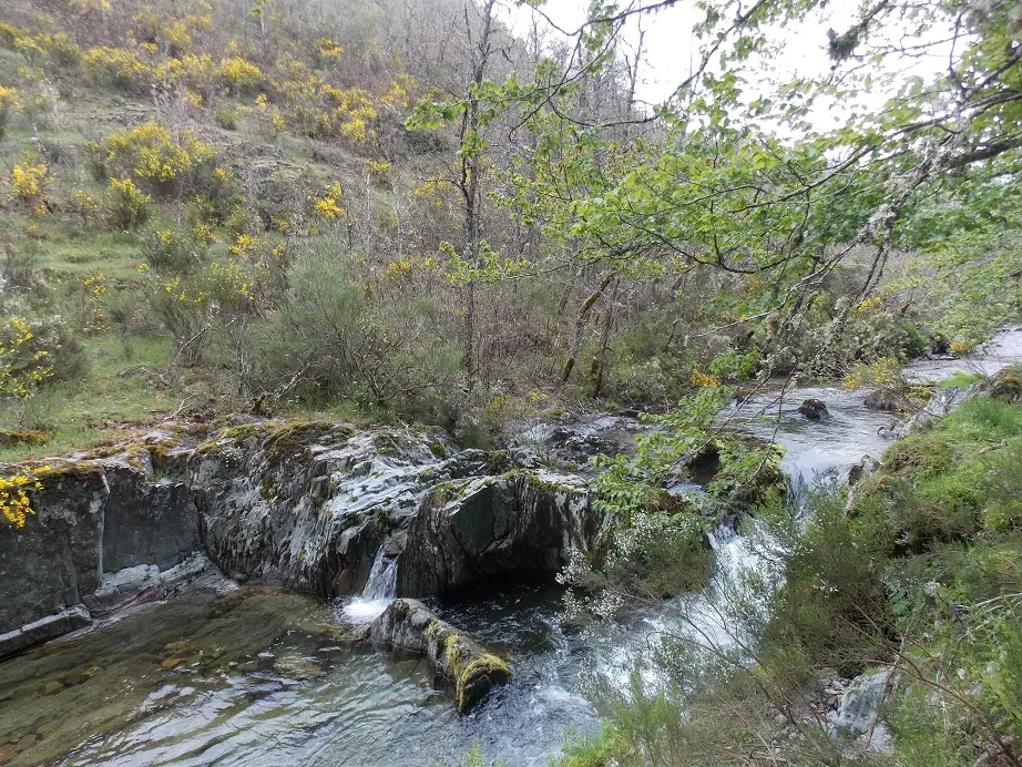 Río de la Umbría (Tramo Libre)