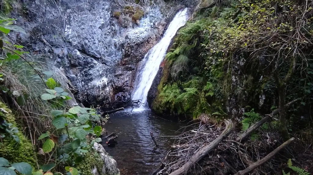 Río Noceda (Tramo Libre) Leon