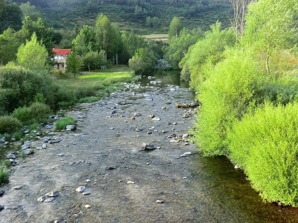 Río Esla (Tramo NO truchero) León