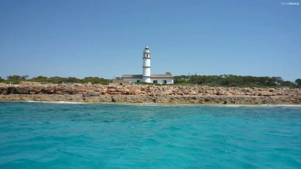 Reserva marina del Migjorn de Mallorca