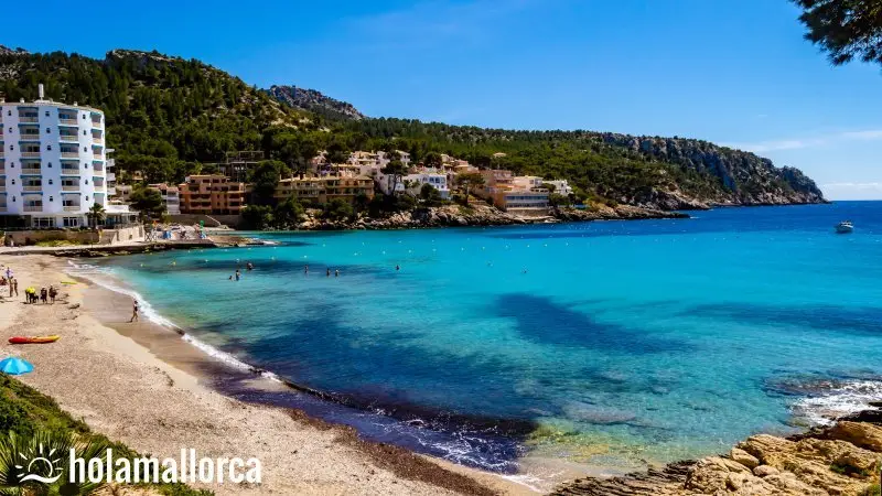 Reserva marina del Freu de Sa Dragonera