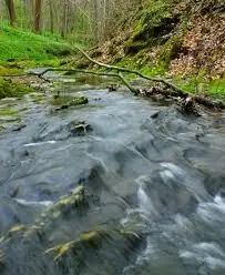 Ruisseau de Crouzinal