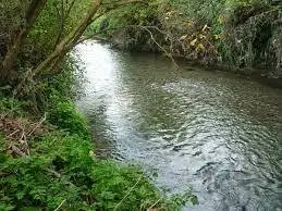 Ruisseau de la Gravière