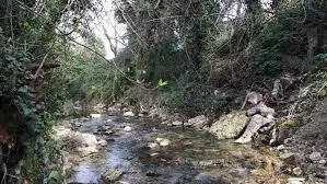 Ruisseau du Carteyral
