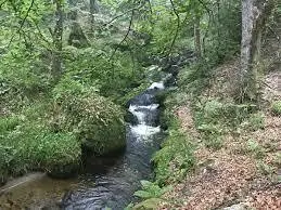 Ruisseau des Vieilles