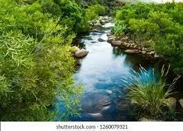 Valat de la Bouissoune