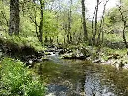Ruisseau des Tauriers