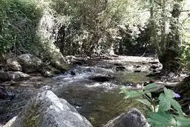 Ruisseau des Conques