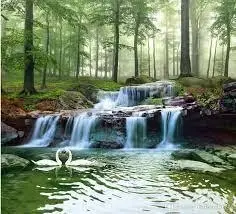 Ruisseau de la Font du Baile