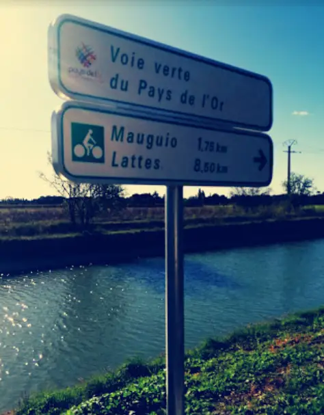Canal d'Irrigation du Bas Rhône-Languedoc