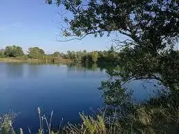 Plan d'eau N°1 - Libellule Demoiselle