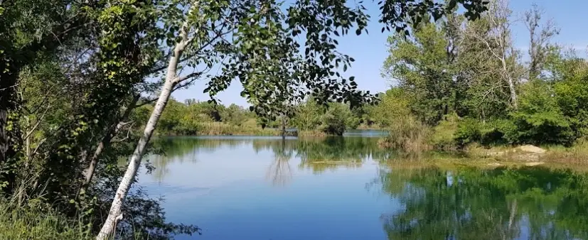 Étang de Vestric et Candiac