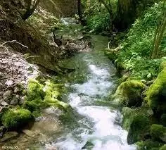 Roubine des Basses Merveilles