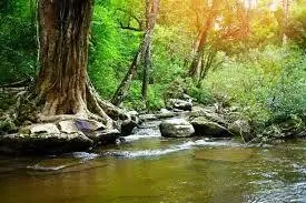 Roubine des Merveilles