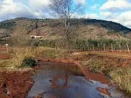 Ruisseau des Vignasses