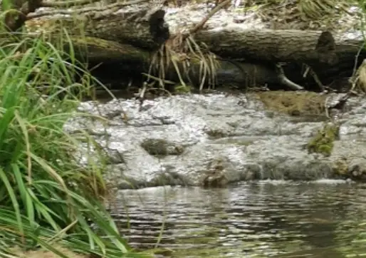 Ruisseau de Valbonne