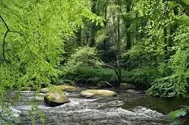 Ruisseau de Courtairolle